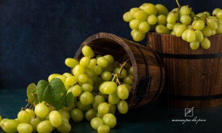 Prepárate Para Fructificar